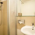 Homaris Boxi Berlino