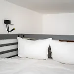Homaris Boxi
