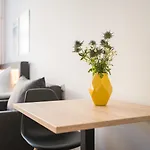 Homaris Boxi Berlin