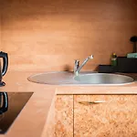 Homaris Boxi Berlin