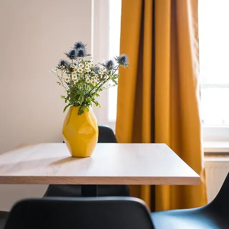 Homaris Boxi Berlín