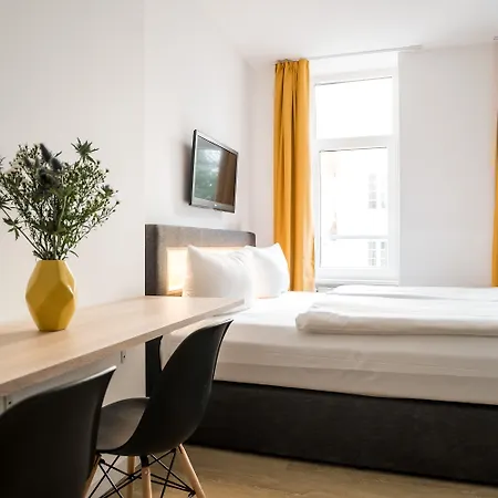 Homaris Boxi Berlino