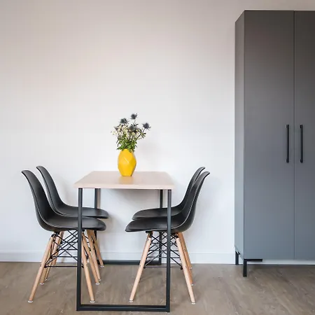 Homaris Boxi Berlino