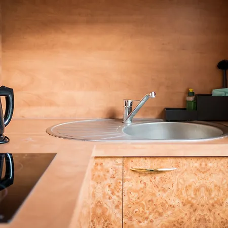 Homaris Boxi Berlino