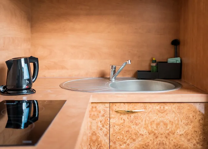 Homaris Boxi Berlín